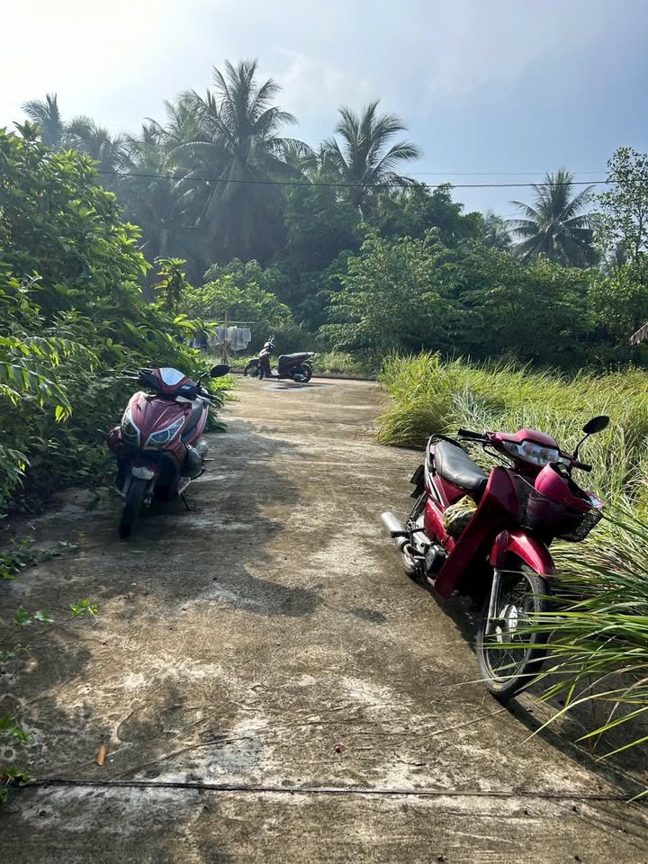 Đất nền đẹp xã Phú An Hòa, Châu Thành, Bến Tre 659m² giá 950 triệu - Sổ hồng riêng, đầu tư sinh lời!