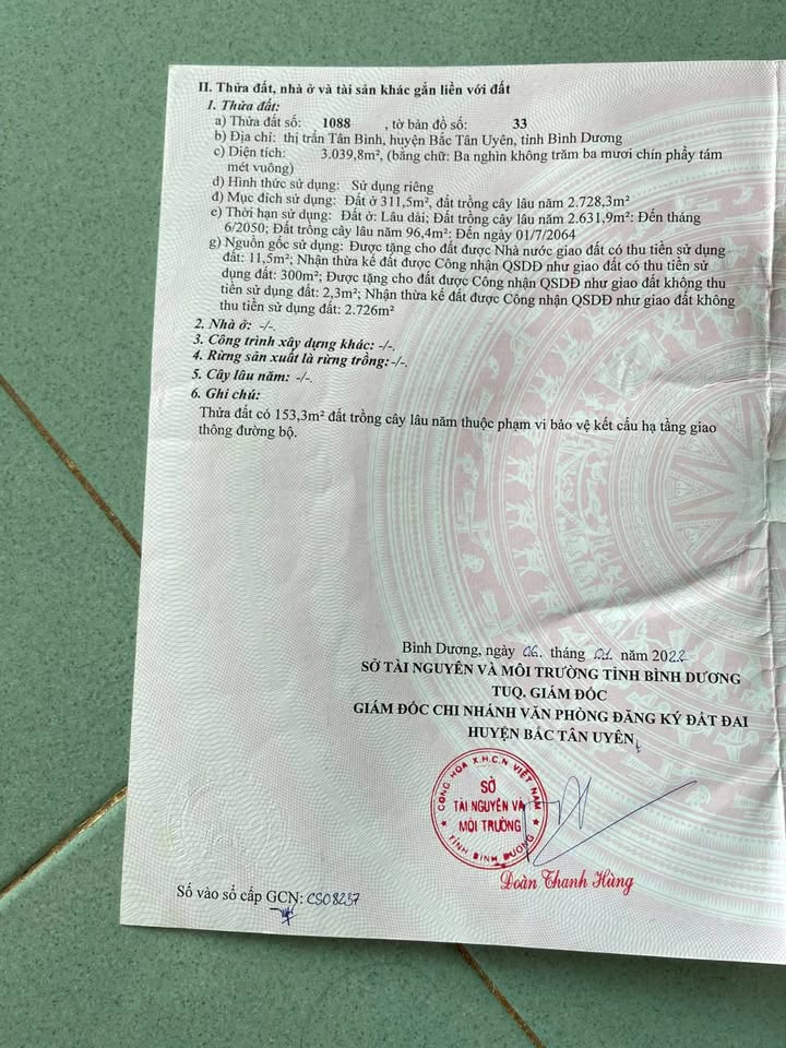 Đất thổ cư 311.5m² tại Tân Bình, Bắc Tân Uyên, Bình Dương - Chỉ 7 tỷ, thương lượng tốt!