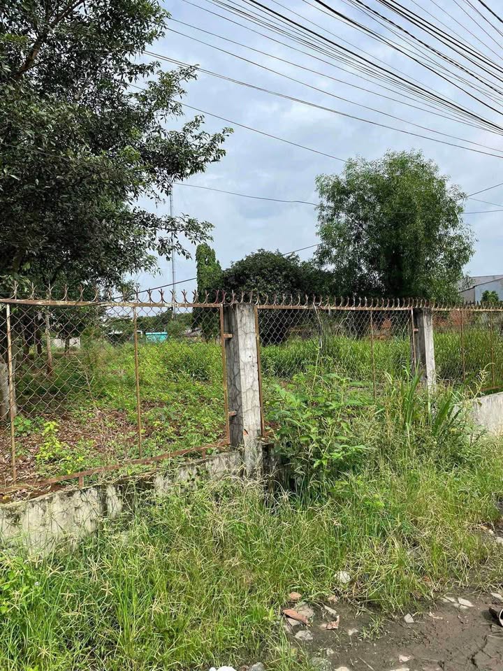 Đất mặt tiền Phú Thanh, Tân Phú 500m² giá 10 tỷ - Đầu tư sinh lời ngay!