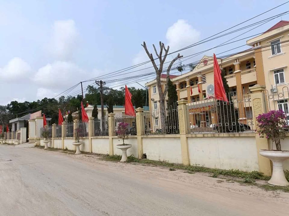 Đất nền chính chủ tại xã Hợp Lý, Triệu Sơn 120m² chỉ 400 triệu - Cơ hội đầu tư hấp dẫn!