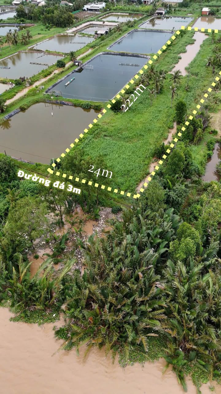 Đất mặt tiền sông Tân Thạnh 5.345m² giá 1.417 tỷ - Đầu tư sinh lời hấp dẫn!