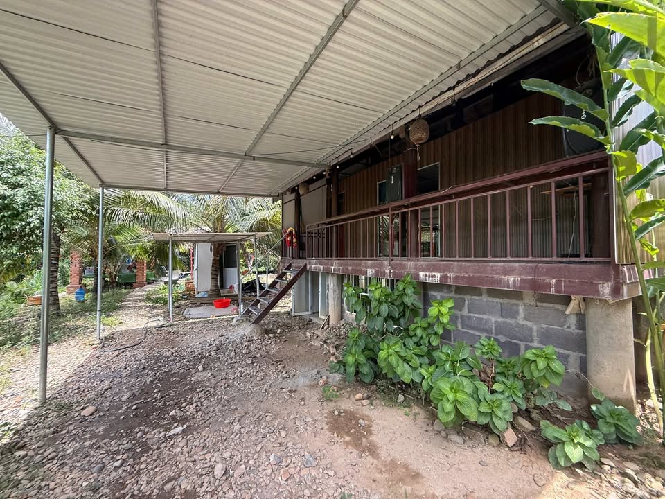 Nhà vườn Diên Xuân, Diên Khánh 1920m² giá 2.6 tỷ - Không thể bỏ lỡ!