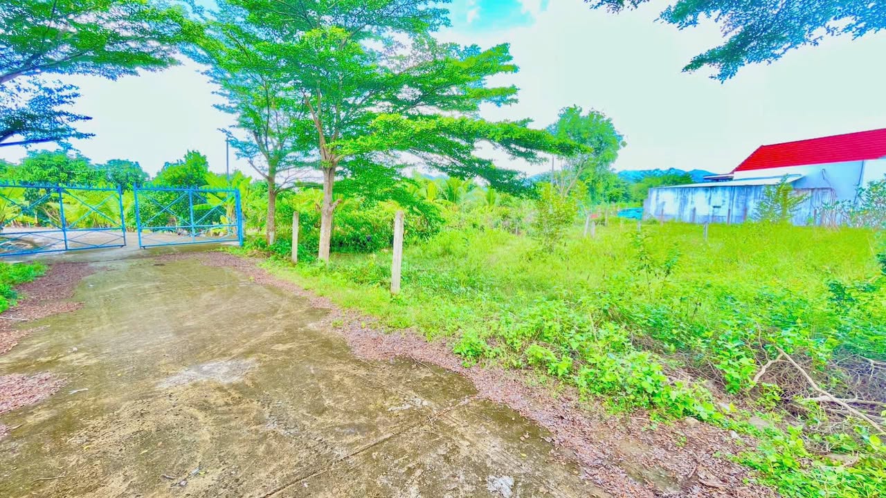 Đất nền Diên Lạc, Diên Khánh 85m² giá 599 triệu - Tiềm năng tăng giá cao!