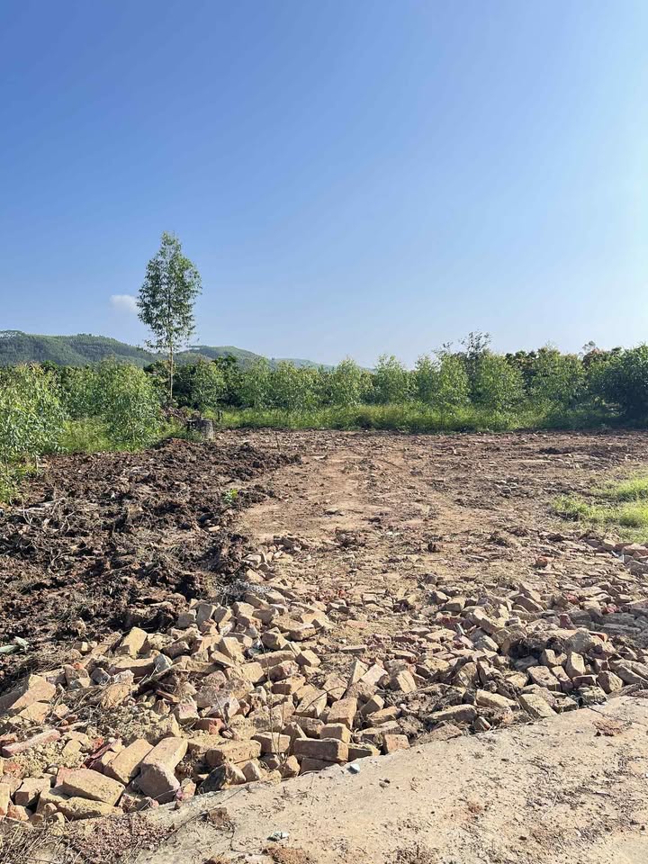 Đất vườn Vô Tranh Lục Nam 1800m² giá 1.9 tỷ - Đầu tư sinh lời ngay!