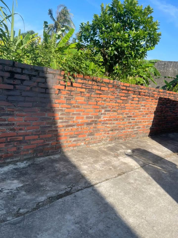 Đất thổ cư khu Thanh Bình - Việt Dân, Đông Triều 110m² giá 600 triệu - Đầu tư sinh lời!