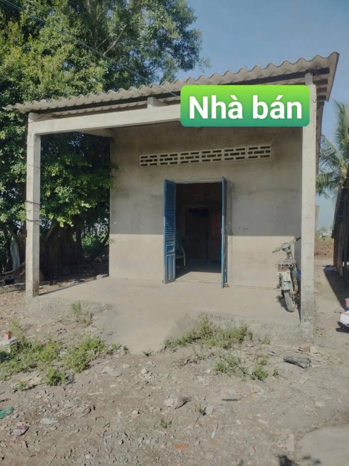 Nhà bán gấp tại xã Bình Trinh Đông, Tân Trụ, Long An - Diện tích 137m² chỉ 250 triệu!