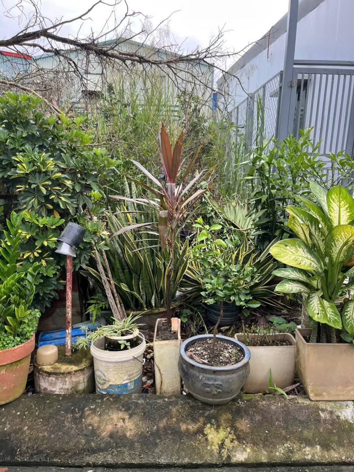 Đất nền khu dân cư Trần Anh, Mỹ Hạnh 90m² giá 1.2 tỷ - Sổ hồng riêng, đầu tư sinh lời!