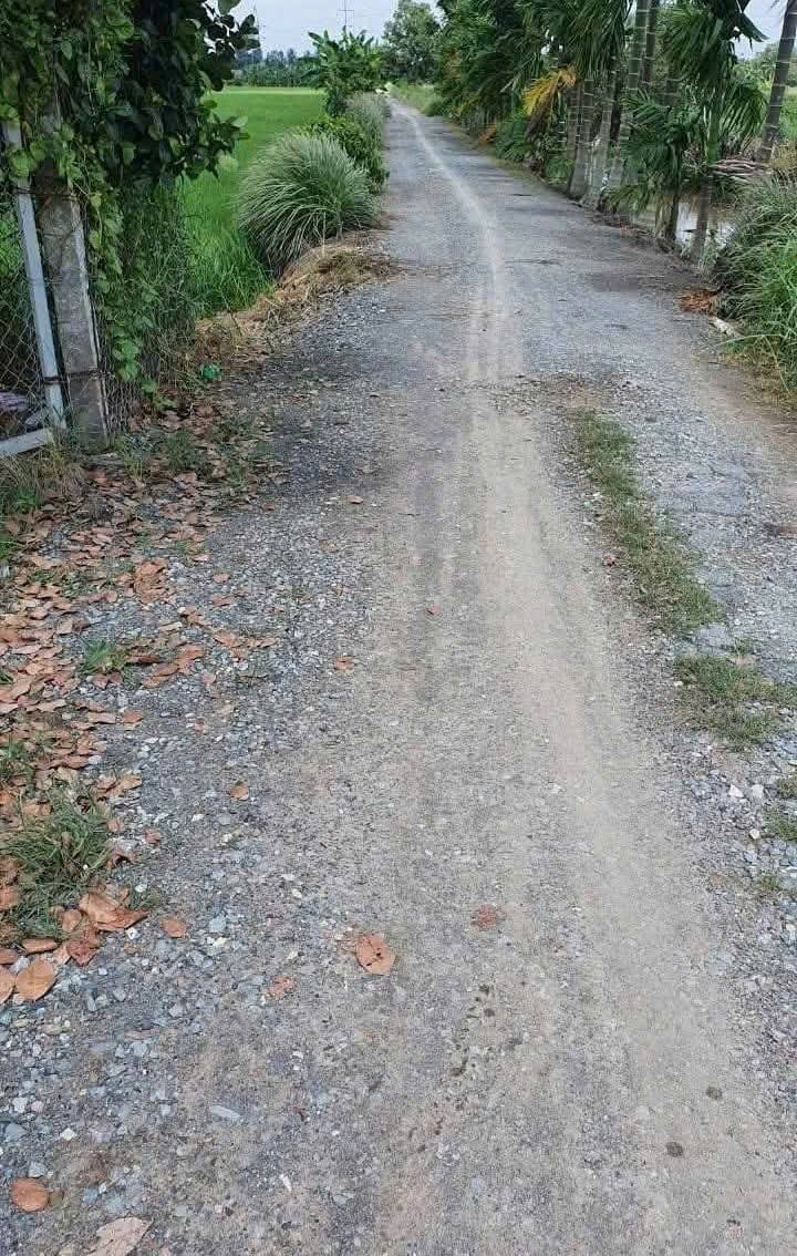 Nhà vườn 1,4ha tại Nhị Thành, Thủ Thừa chỉ 5.2 tỷ - Cắt lỗ cực sâu!