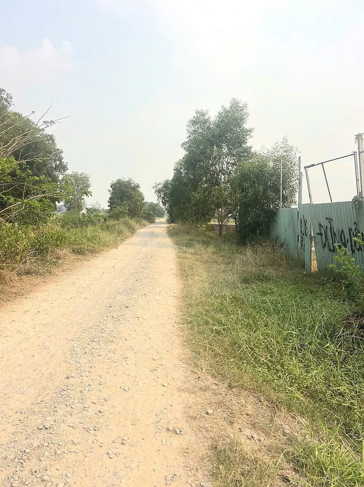 Đất nền ấp Giồng Lớn, Mỹ Hạnh Nam, 1000m² giá 5 tỷ - Sổ hồng riêng, mặt tiền ô tô