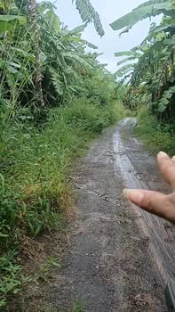 Đất nền Quảng Thành, Châu Đức 5600m² giá 1.736 tỷ - Đường đá mi cách nhựa 200m!