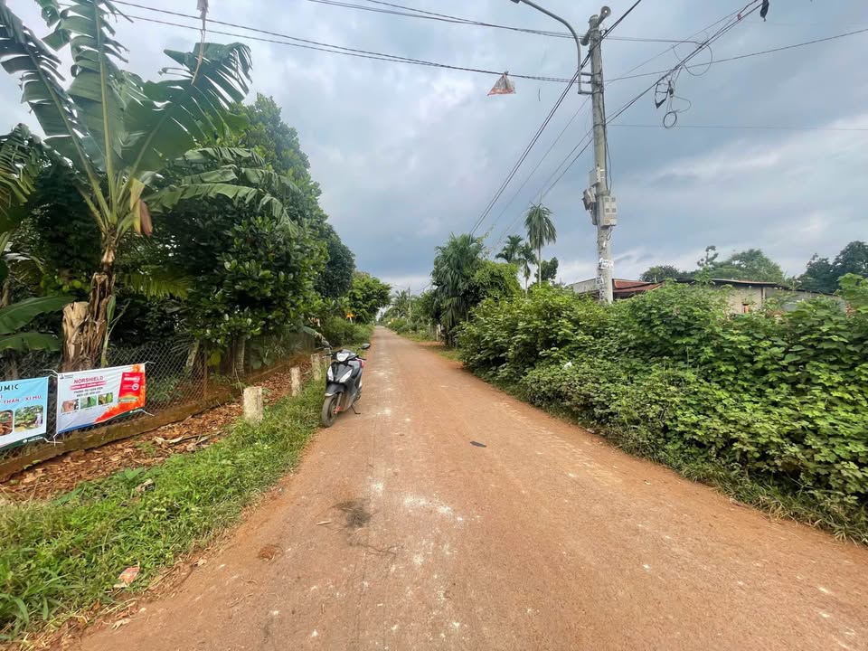 Đất nền phường Tân An, Buôn Ma Thuột, 150m² giá 1.05 tỷ - Cơ hội đầu tư hấp dẫn!