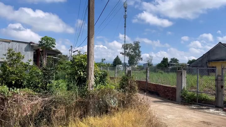 Đất nền Tuy Phước 100m² giá 300-400 triệu - Hàng mới chưa qua đầu tư!