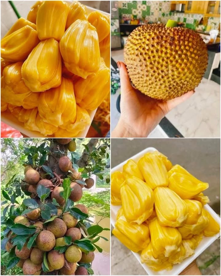 Bán lô đất mặt tiền Quốc lộ 1A, thôn Lác Nội, 141m² chỉ 2.8 tỷ - Đầu tư sinh lời cao!