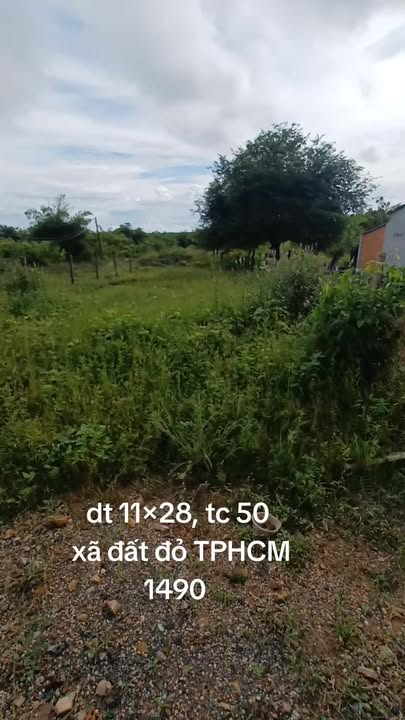 Đất nền Long Tân Đất Đỏ 308m² giá 1.49 tỷ - Khu dân cư đông đúc, kinh doanh sầm uất!