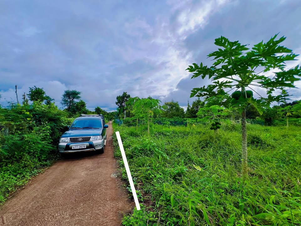 Đất nền Cư Suê 125m² giá 480 triệu - Sổ đỏ chính chủ, xây dựng tự do!