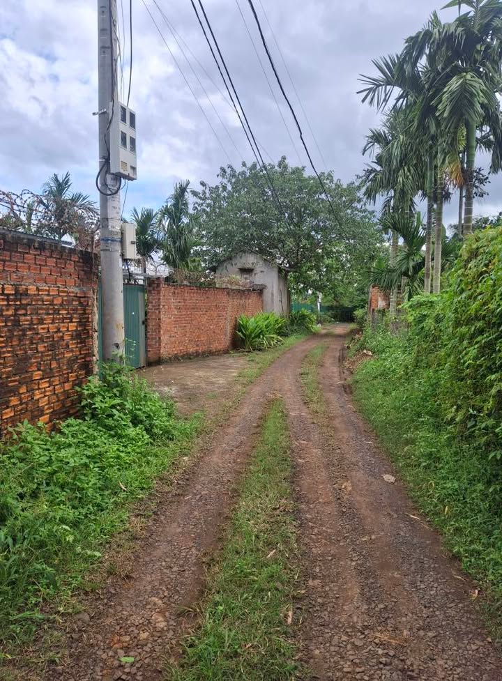 Đất Nông Nghiệp Hẻm 242 Dã Tượng, Tân An - Diện tích 1.7 sào giá chỉ 2.99 tỷ!