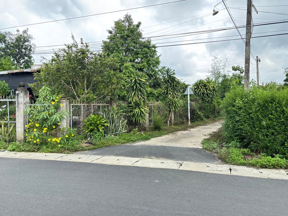 Đất nền mặt tiền bê tông Phú Hoà, Định Quán 165m² giá 520 triệu - Đầu tư sinh lời hấp dẫn!