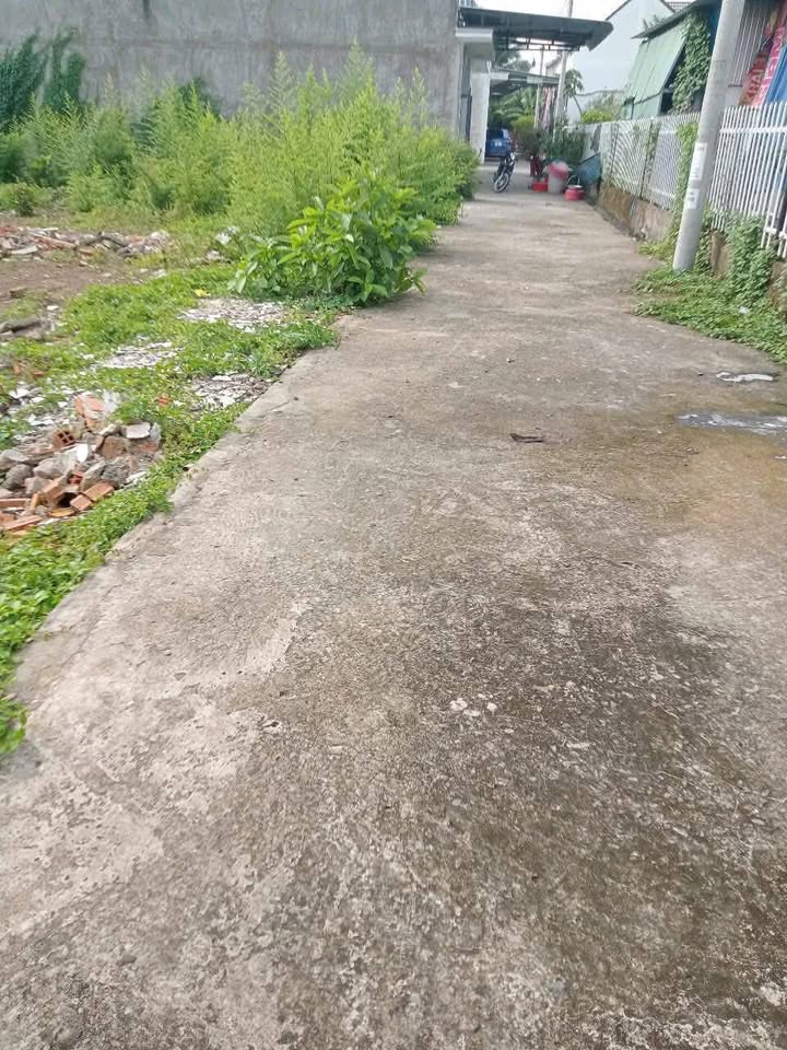 Đất nền Tân Xuân, Châu Thành, Đồng Tháp 96m² chỉ 500 triệu - Cơ hội đầu tư hấp dẫn!