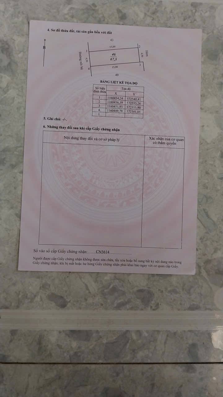 Đất nền Khu Tái Định Cư Cả Môn - Nhị Mỹ 67m² giá 650 triệu - Diện tích lý tưởng cho đầu tư!