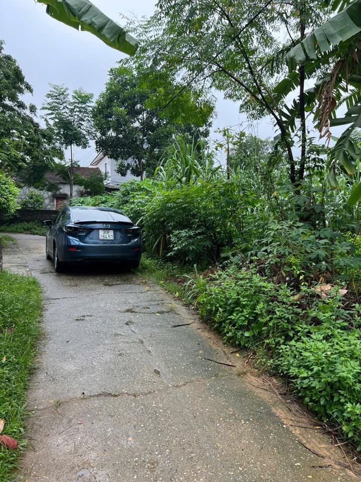 Đất thổ cư 77m² tại Danh Thắng, Hiệp Hòa - Cơ hội đầu tư tuyệt vời!