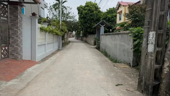 Đất nền Thôn Dành, Ninh Xá 311m² giá thỏa thuận - Cơ hội đầu tư tiềm năng!