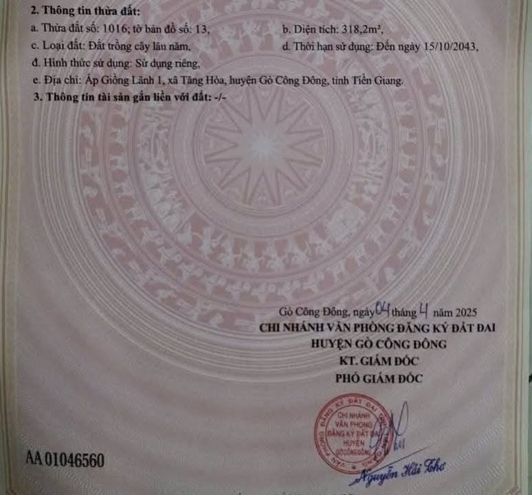 Đất mặt tiền Tăng Hòa 318m² giá 350 triệu - Cơ hội đầu tư tốt!