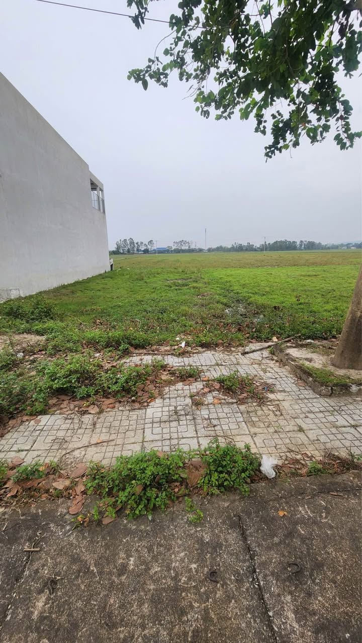 Đất nền Lưu Vệ, Quảng Xương 125m² giá 2 tỷ - Đầu tư sinh lời hấp dẫn!