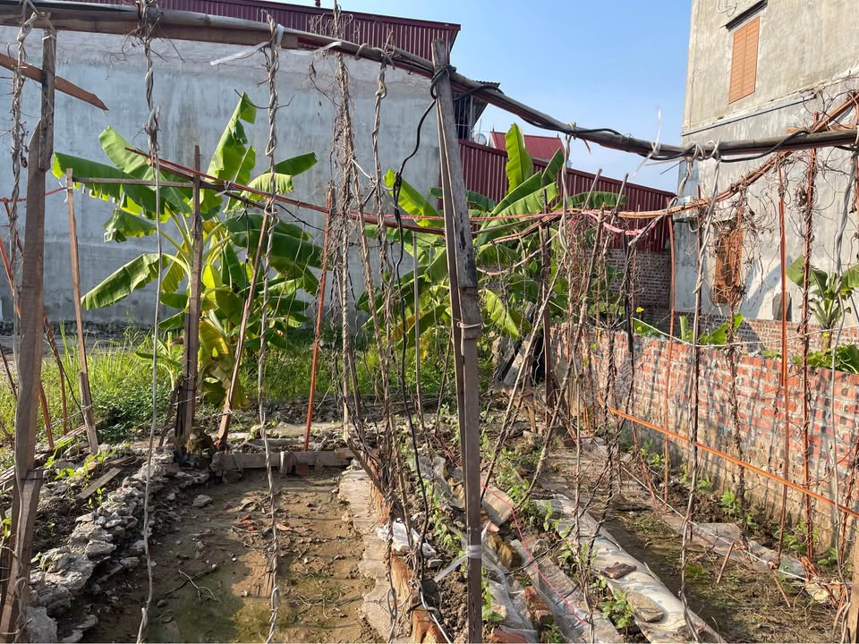 Đất nền Xóm Bến, Đông Xuân 60m² giá 1.65 tỷ - Cơ hội đầu tư tuyệt vời!