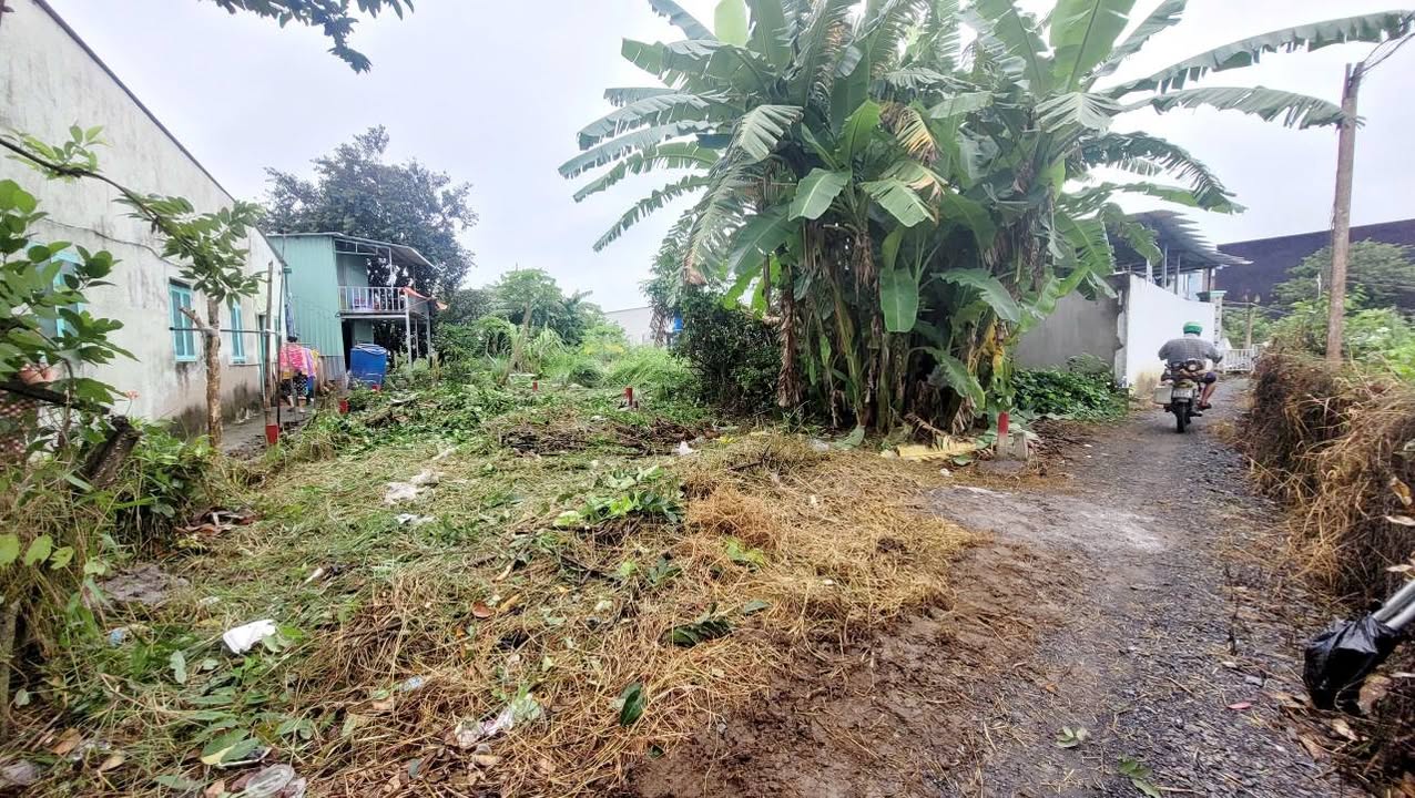 Đất nền Cần Giuộc 92m² giá 330 triệu - Sổ riêng, tiện ích đầy đủ!