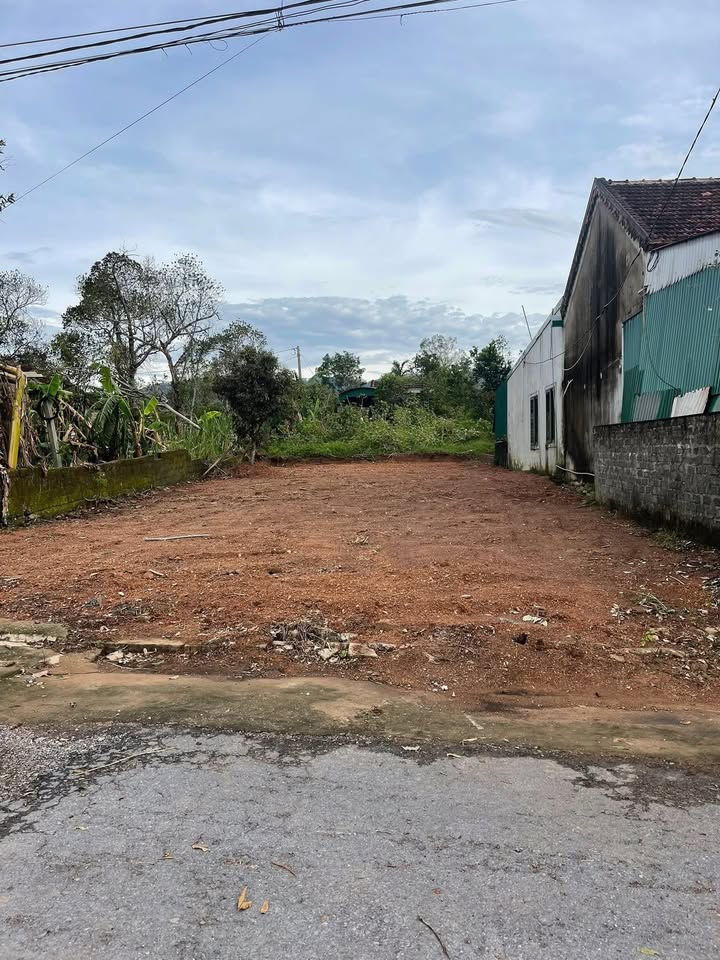 Đất ở Nam Nghĩa, Nam Đàn 250m² giá 1 tỷ - Đường nhựa rộng rãi, tiện ích đầy đủ!