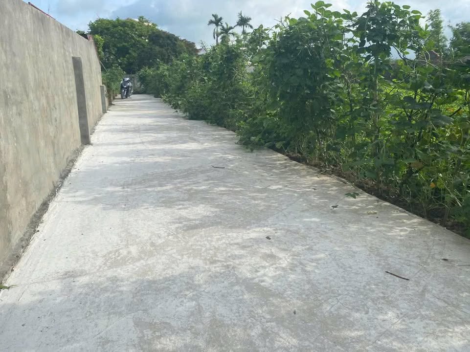 Đất nền Thái Thịnh, Thái Thụy 80m² giá thỏa thuận - Đường ô tô vào tận nơi!