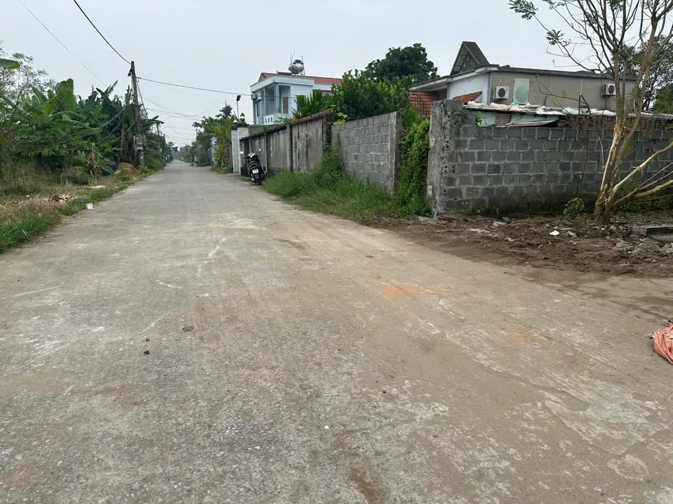 Lô đất thổ cư Bắc Ô Trình, Thái Thụy 85m² giá 1.2 tỷ - Đầu tư sinh lời ngay!