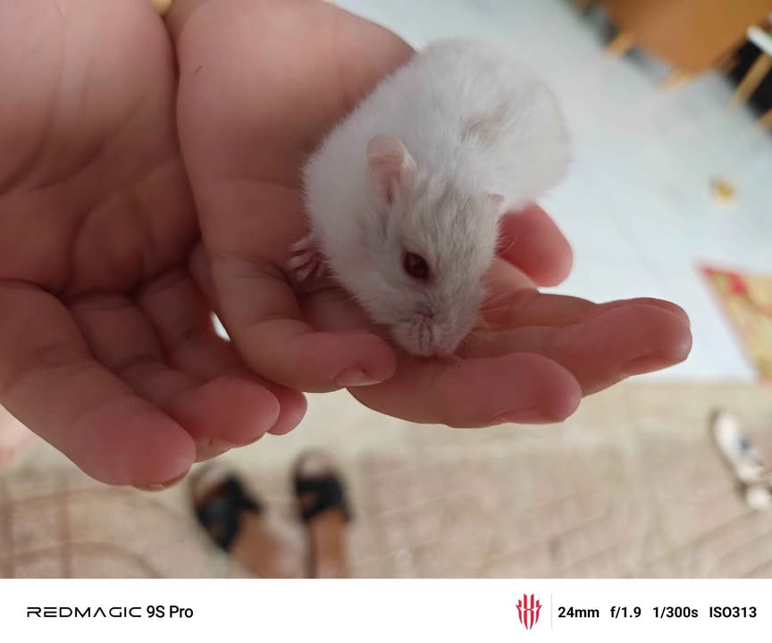 Đất nền Bảo Vinh 240m² giá 950 triệu - Cơ hội đầu tư hiếm có!