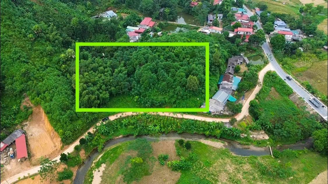 Đất nền Tân Sơn Phú Thọ 189m² giá chỉ 1xx triệu - Tiềm năng sinh lời cao!