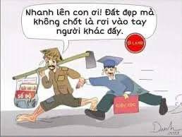 Đất chính chủ Cam Ly Đà Lạt 100m² giá 400 triệu - Cơ hội đầu tư hấp dẫn!