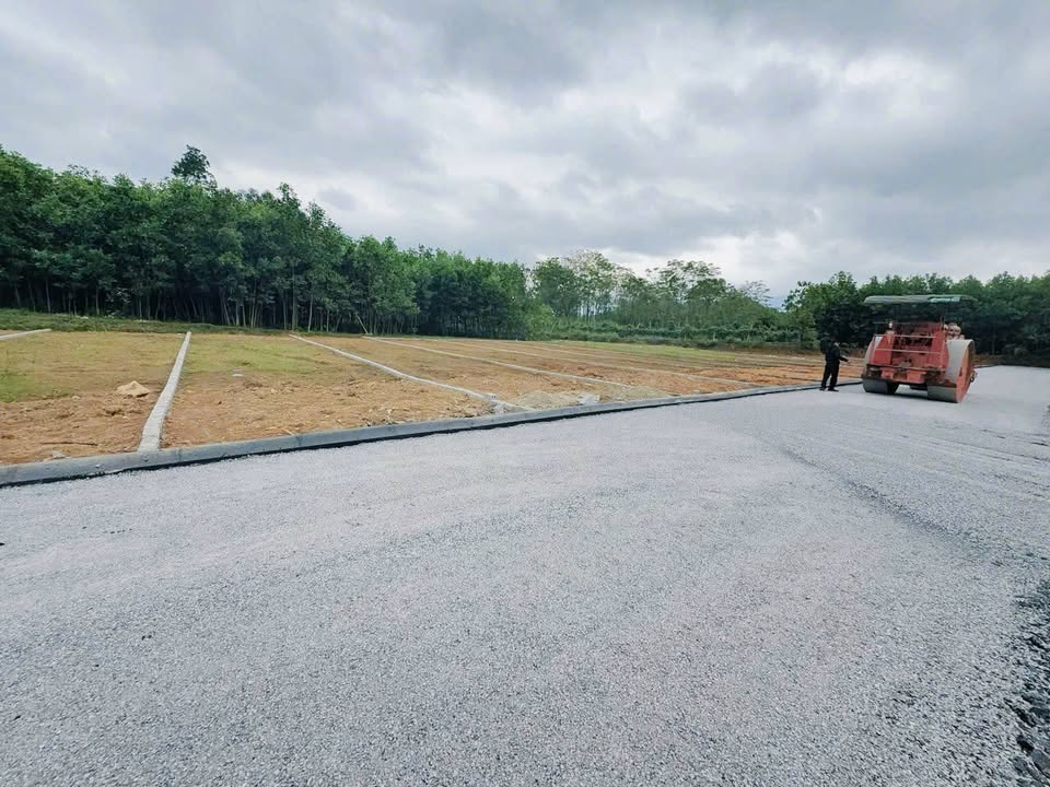 Đất nền siêu vip khu phố Quang Hưng, Ngọc Lặc 134.5m² - Sổ hồng chính chủ, giá chỉ 200 triệu!