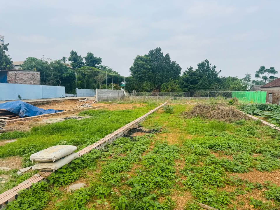 Đất nền Yên Thái, Quốc Oai 100m² giá 2.1 tỷ - Đường ô tô đỗ cửa!