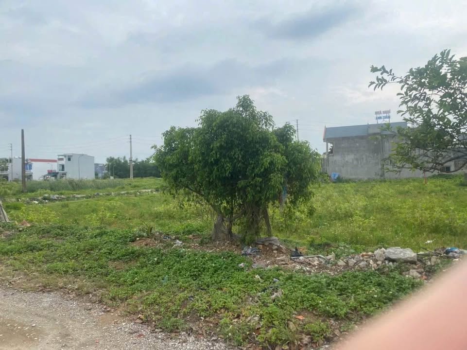 Đất nền Sầm Sơn 600m² giá 6 tỷ - Pháp lý rõ ràng, cơ hội đầu tư hấp dẫn!