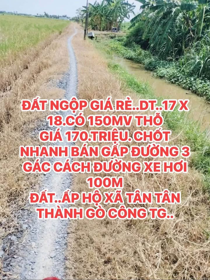 Đất thổ cư Gò Công 306m² giá 170 triệu - Chốt nhanh bán gấp!