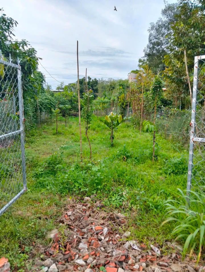 Đất nền Bảo Vinh 514m² giá 950 triệu - Đầu tư sinh lời ngay!