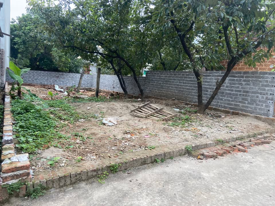 Đất thổ cư 100m² tại Cần Kiệm, Thạch Thất - Giá chỉ 3 tỷ, đầu tư sinh lời!