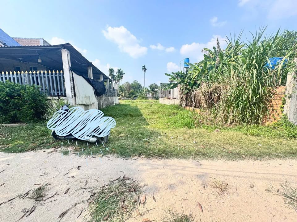 Đất thổ cư Hậu Nghĩa Đức Hòa 152m² giá 1.05 tỷ - Cơ hội đầu tư sinh lời!