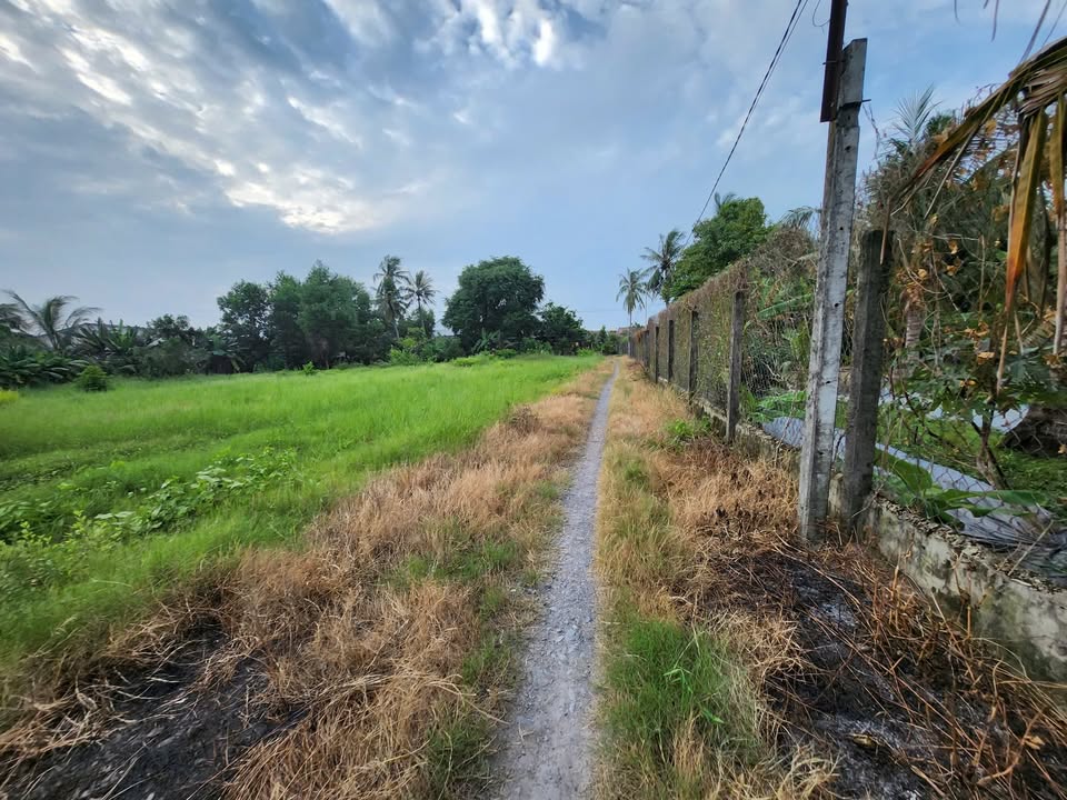 Đất nền xã Long Thuận, Tây Ninh 210m² - Sổ hồng chính chủ, giá thỏa thuận!