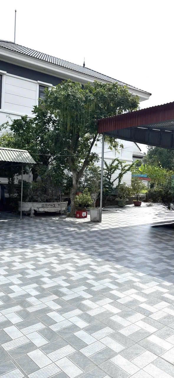 Đất nền bán gấp tại phường Sao Đỏ, TP Chí Linh 350m² giá chỉ 2 tỷ - Cơ hội đầu tư tuyệt vời!