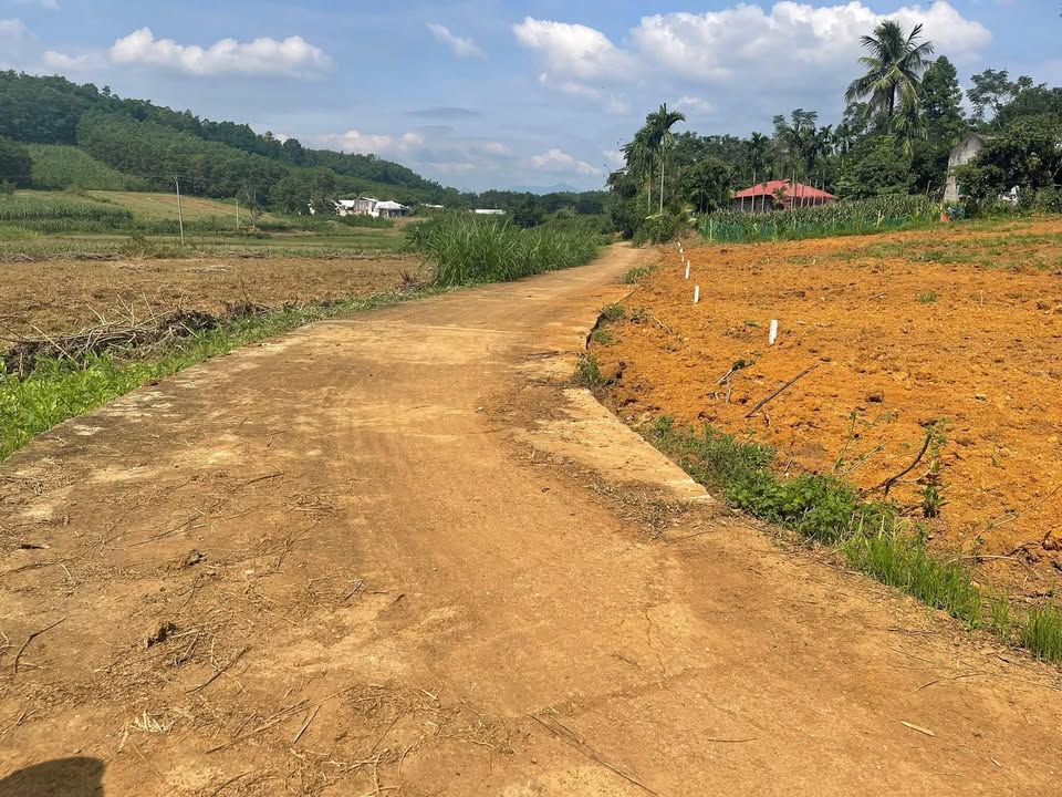 Đất nền Phúc Thịnh, Ngọc Lặc 120m² giá chỉ 70 triệu - Đầu tư sinh lời ngay!