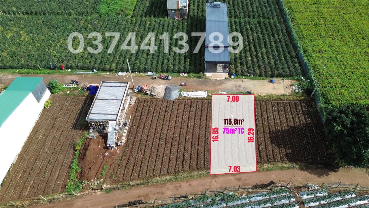 Đất mặt tiền Đà Lạt 119m² giá 955 triệu - Đầu tư sinh lời ngay!