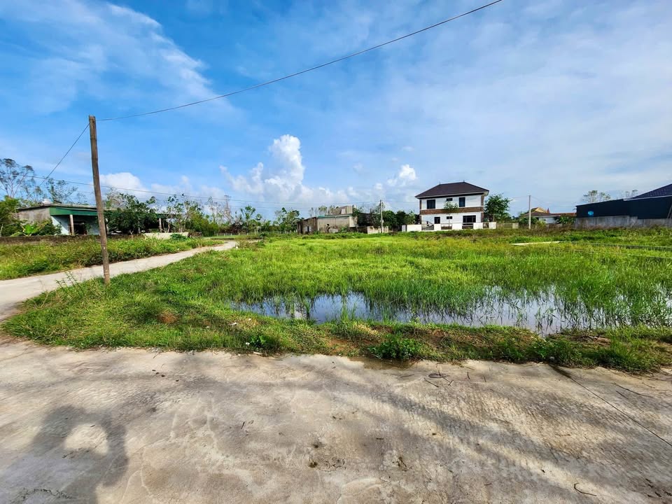 Đất nền Nghi Phong 76m² và 81m² giá 1.53 tỷ - Đầu tư sinh lợi ngay khu đấu giá!