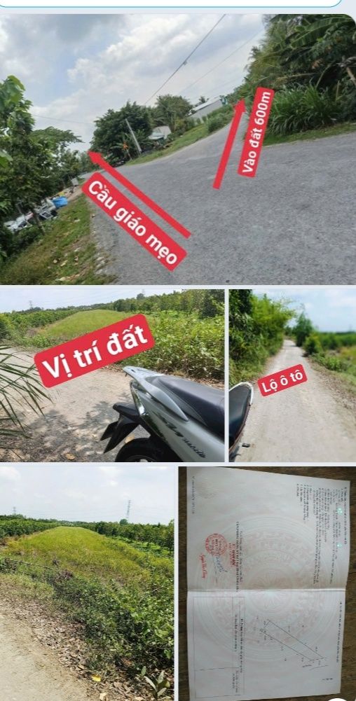 Đất nền ấp Thạnh Hóa, xã Đông Thạnh, 5000m² giá 320 triệu - Cơ hội đầu tư tuyệt vời!