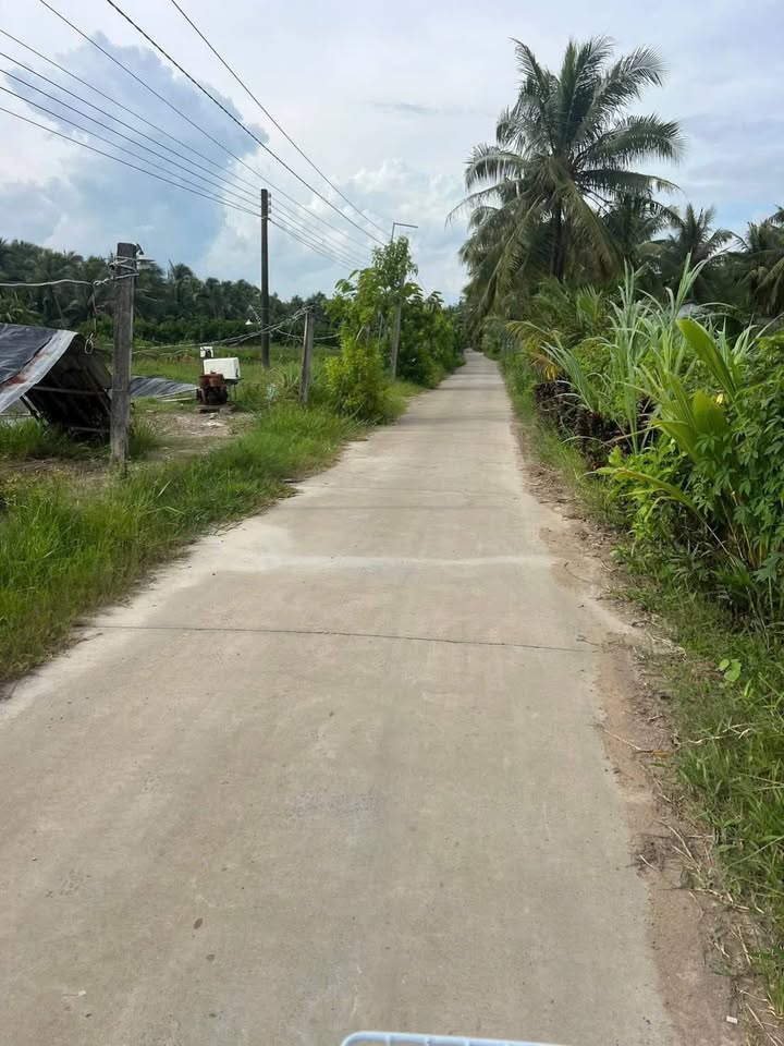 Đất ao tôm 5895m² tại Thới Lai, Bình Đại - Giá chỉ 3.5 tỷ, cơ hội đầu tư tuyệt vời!