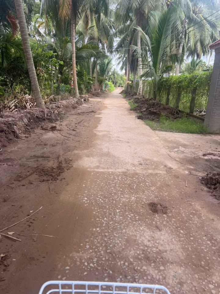 Nhà mặt tiền đường thi công tại xã Thới Lai, Bến Tre 355m² chỉ 1 tỷ - Cơ hội đầu tư hấp dẫn!